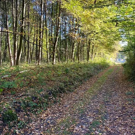 Prinz Albrecht מלון 3*