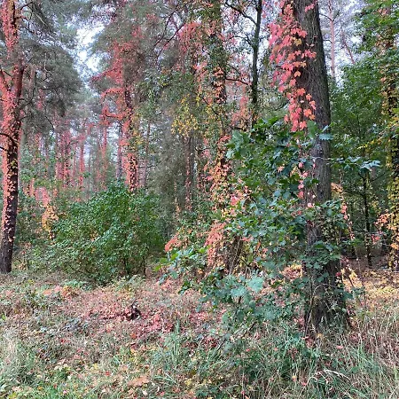 Hotel Prinz Albrecht 3*