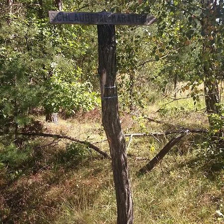 Prinz Albrecht מלון 3*