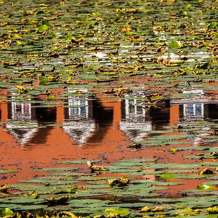 Hotel Prinz Albrecht Neuzelle