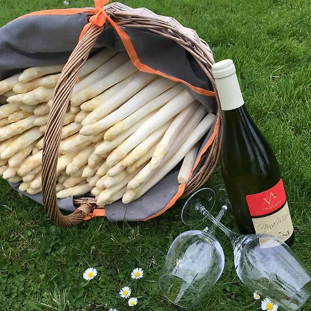 Prinz Albrecht מלון נויצלה