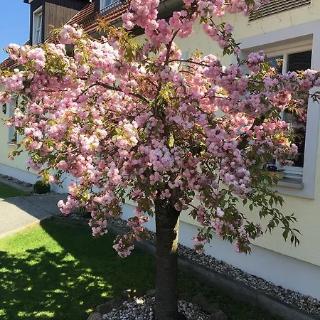 Hotel Prinz Albrecht 3*