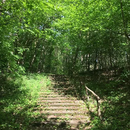 Prinz Albrecht נויצלה