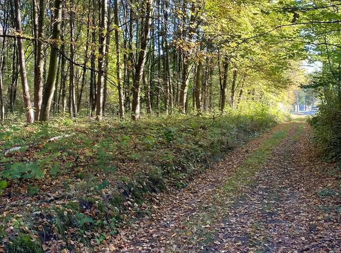 Prinz Albrecht Hotel 3*