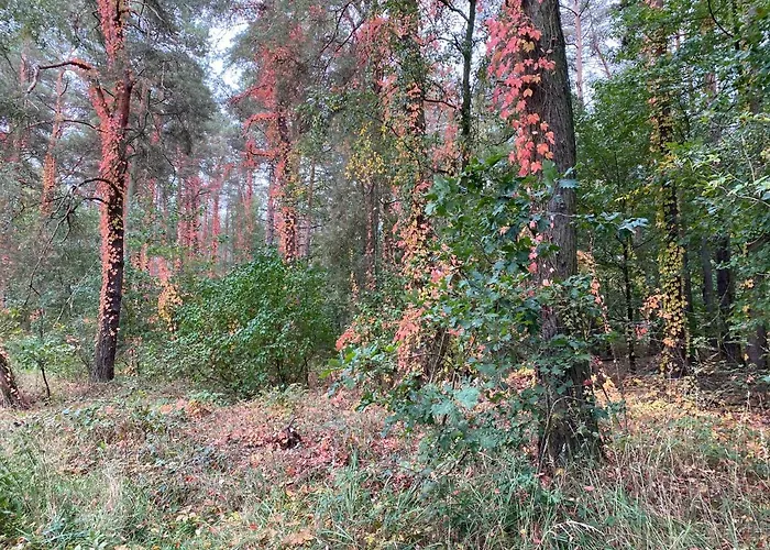 Hotel Prinz Albrecht 3*