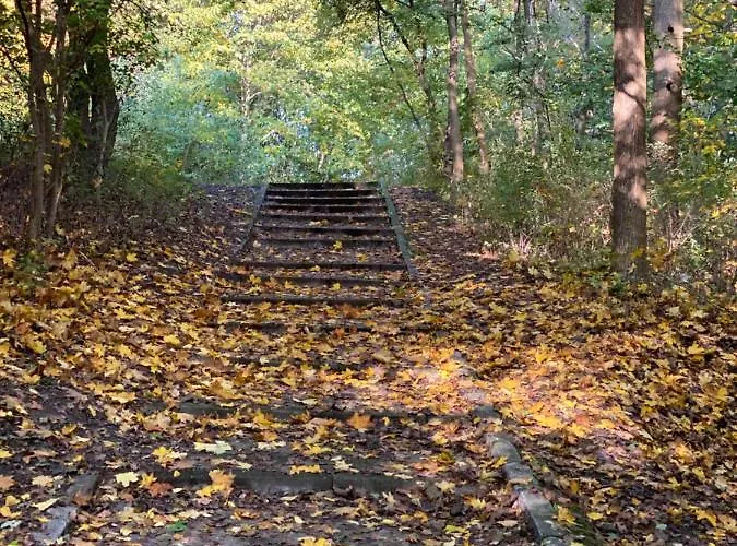 Prinz Albrecht Neuzelle