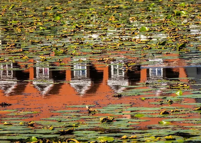 Hotel Prinz Albrecht Neuzelle