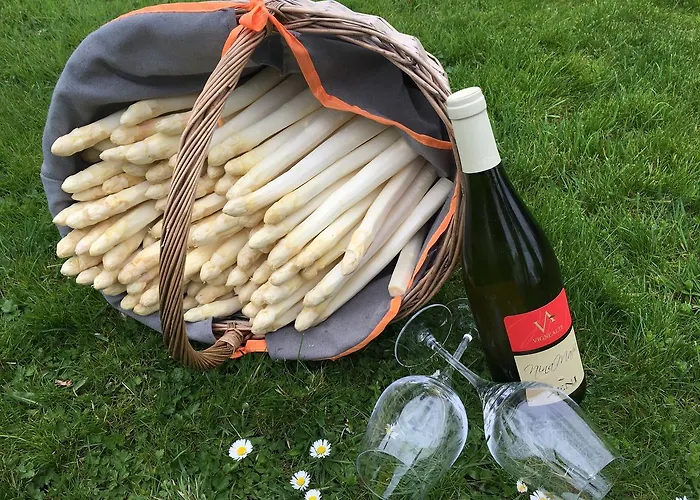 Prinz Albrecht Hotel Neuzelle