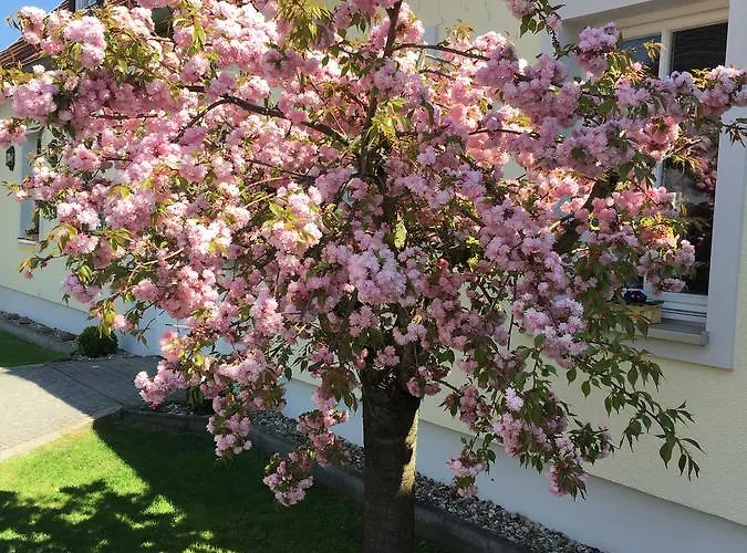 Hotel Prinz Albrecht 3*