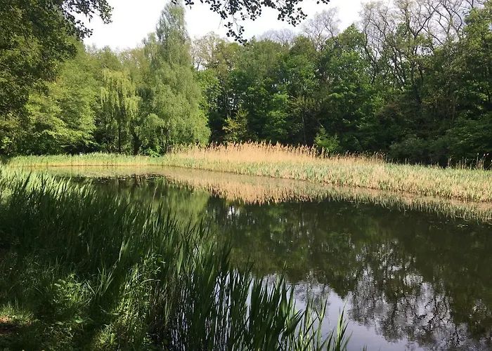 Prinz Albrecht Neuzelle