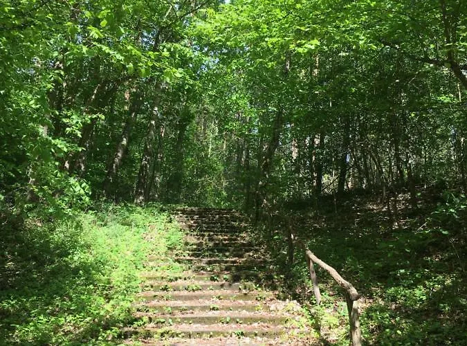 Prinz Albrecht Neuzelle